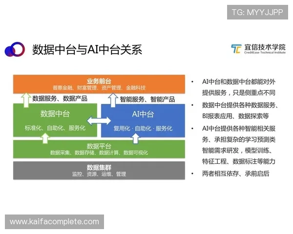 PA下载在不同平台上的应用指南，满足不同用户的多样需求