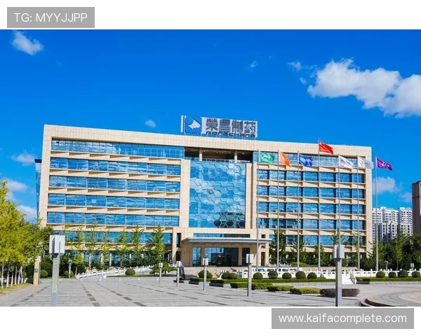 凯发k8一触即发怎么样探讨其技术支持与客户服务的专业水平