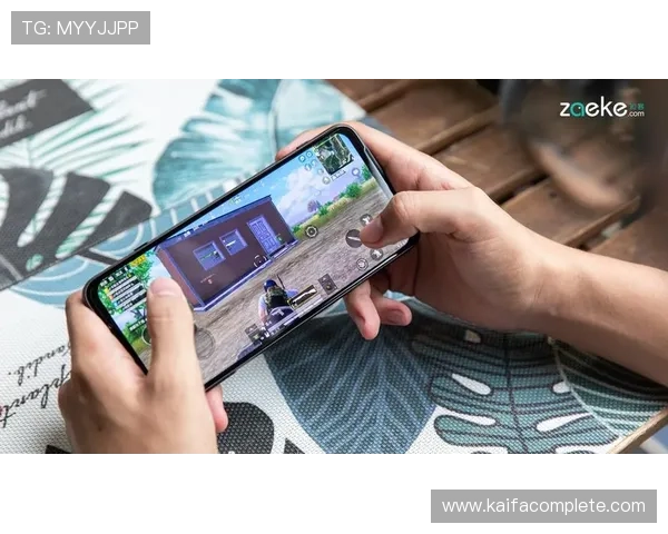 凯发网娱乐官网登录遇到问题怎么办？详细解决方案帮你快速恢复正常游戏体验