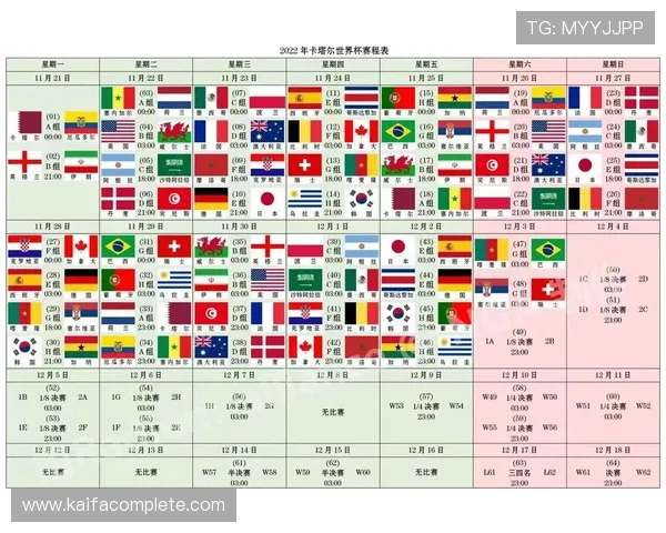 世界杯卡塔尔对阵加拿大小组赛规则全解析，包括赛程、积分和淘汰机制